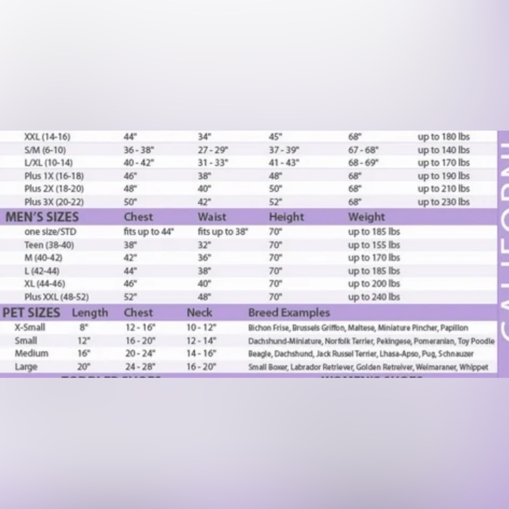 Pope Pet Costume - Picture 3 of 3